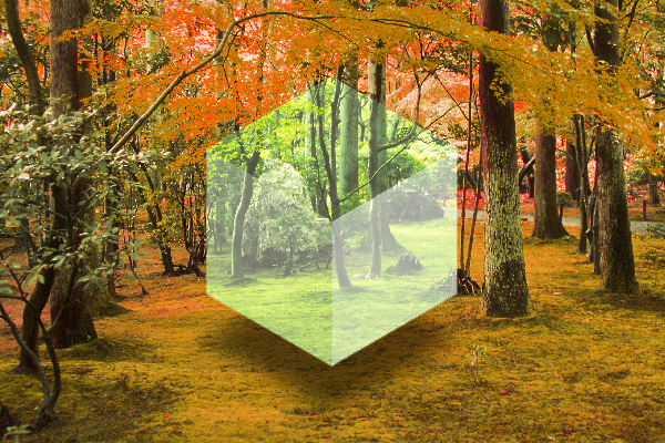 Photoshopを利用した画像合成