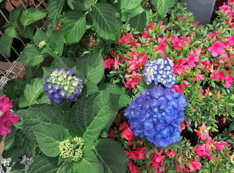 Photoshopを利用した画像編集