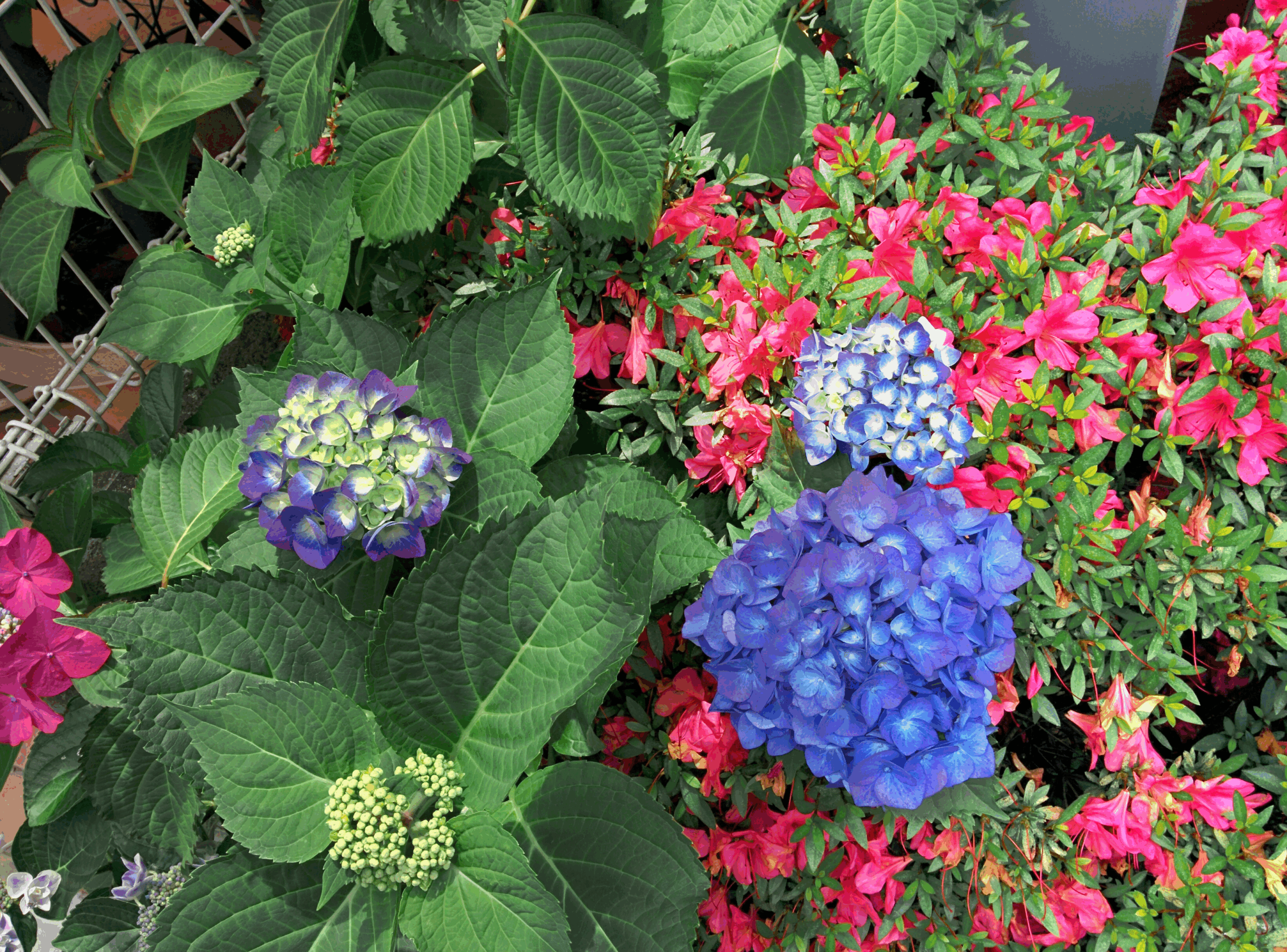 Photoshopを利用した画像編集